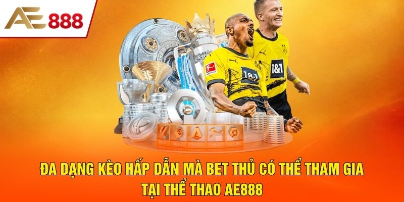 Đa dạng kèo hấp dẫn mà bet thủ có thể tham gia tại thể thao AE888