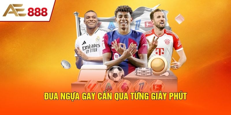 Đua ngựa gay cấn qua từng giây phút